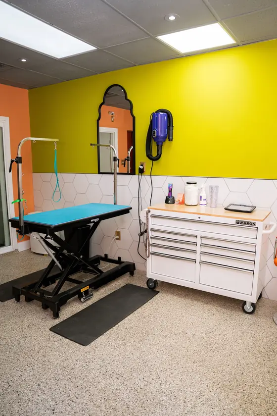 Grooming room with a blue table, chartreuse wall, and hex tile