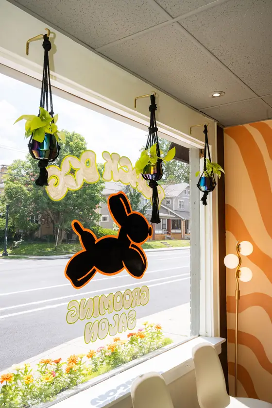 Front window from inside with hanging plants and the balloon-dog decal