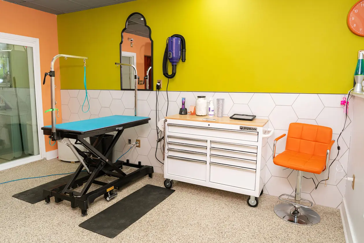 Grooming table, tool cart, and orange chair against the chartreuse wall