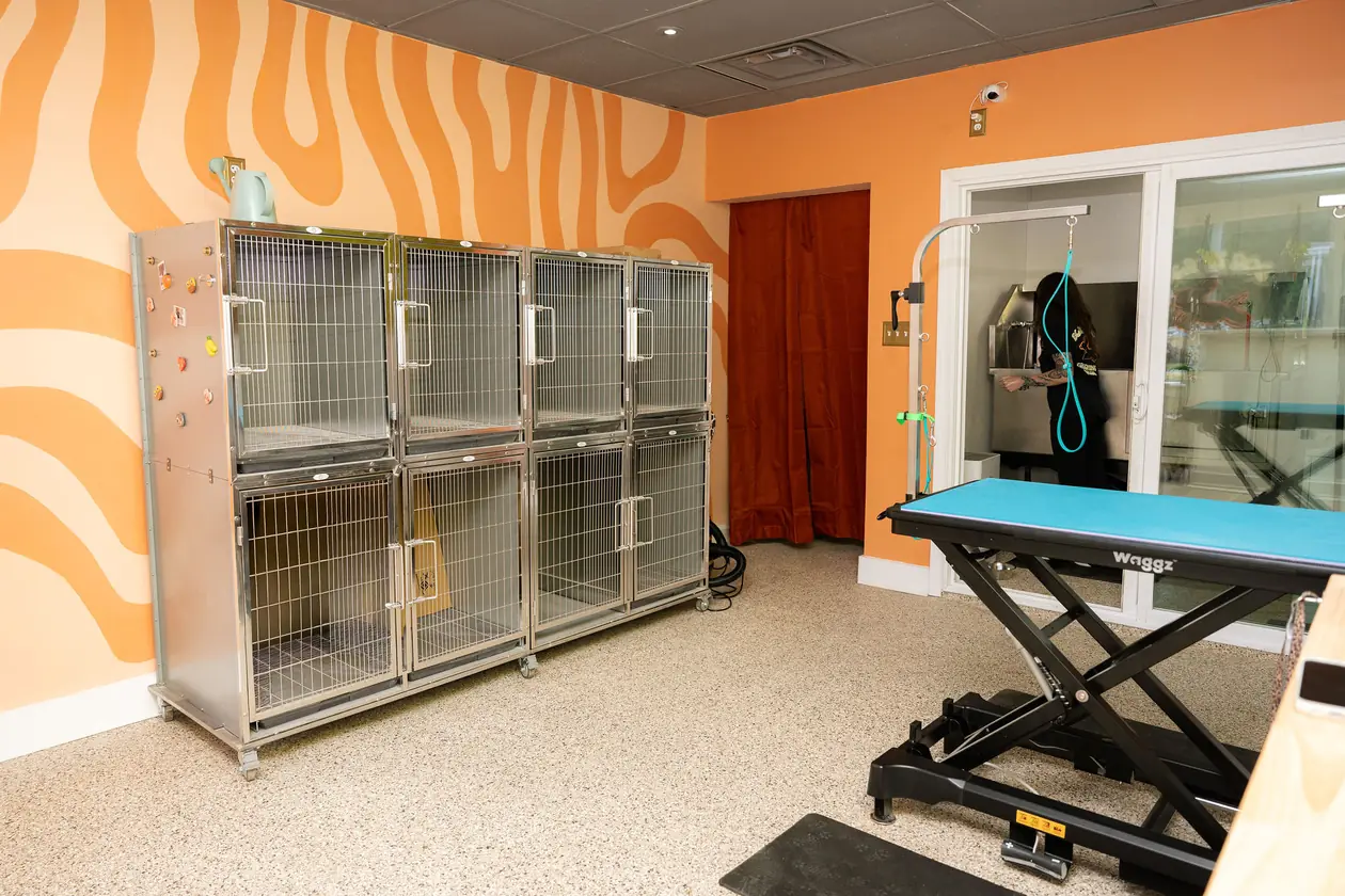 Stainless kennels and a second grooming table on the terrazzo floor